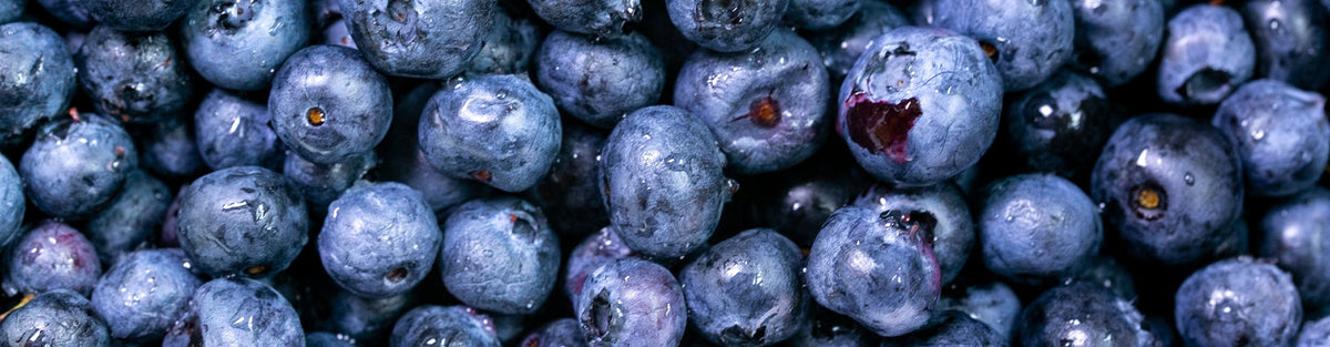 Florezca con la comida: Día Nacional del Panqueque de Arándanos