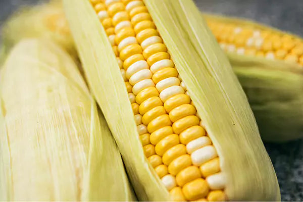 Flourish with Food: Sweet Corn – Summer’s Comfort Food