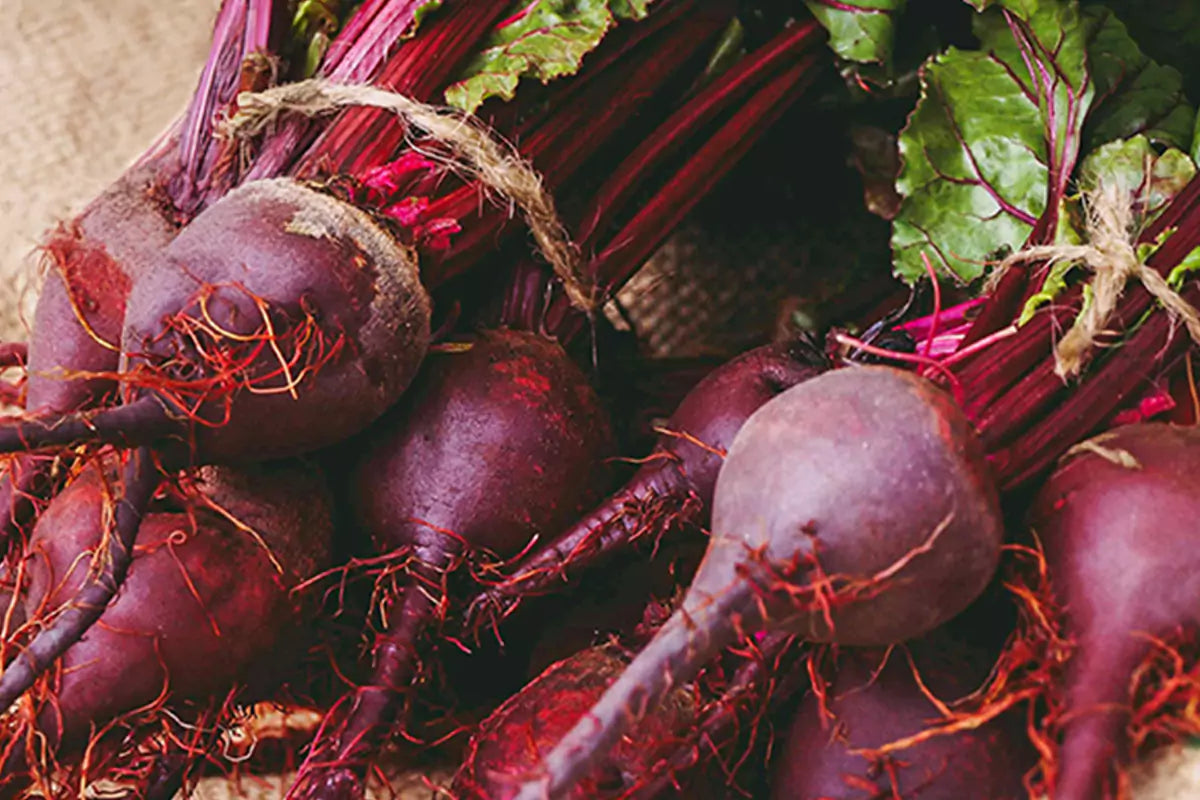 Flourish with Food: The Red Root