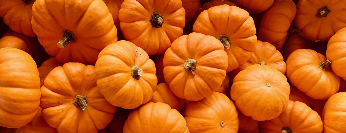 Florecer con comida: calabaza