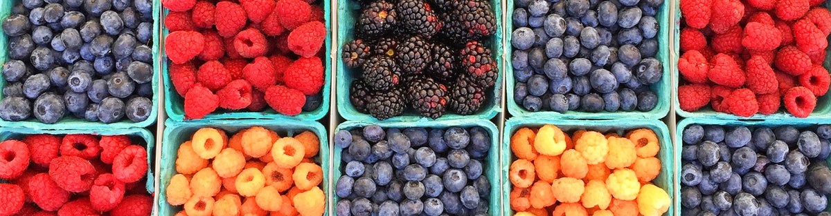 Florecer con la comida: el enfoque MIND