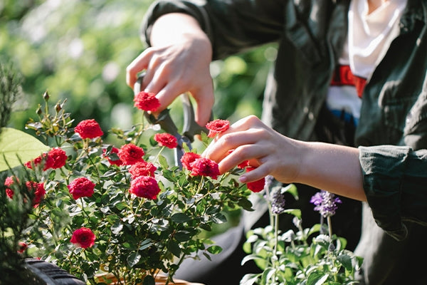 Haga la diferencia mientras disfruta del aire libre