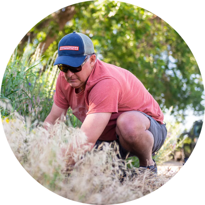 A photograph of a Cultivate volunteer helping in the yard